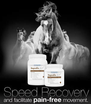 Neprofin AVF - Speed recovery and facilitate pain-free movement