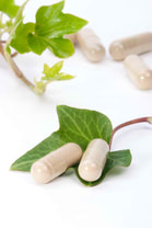Vitamin capsules resting on green leaf